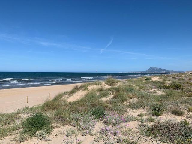 Palmeras En La Playa - Beach House In Oliva Kültér fotó